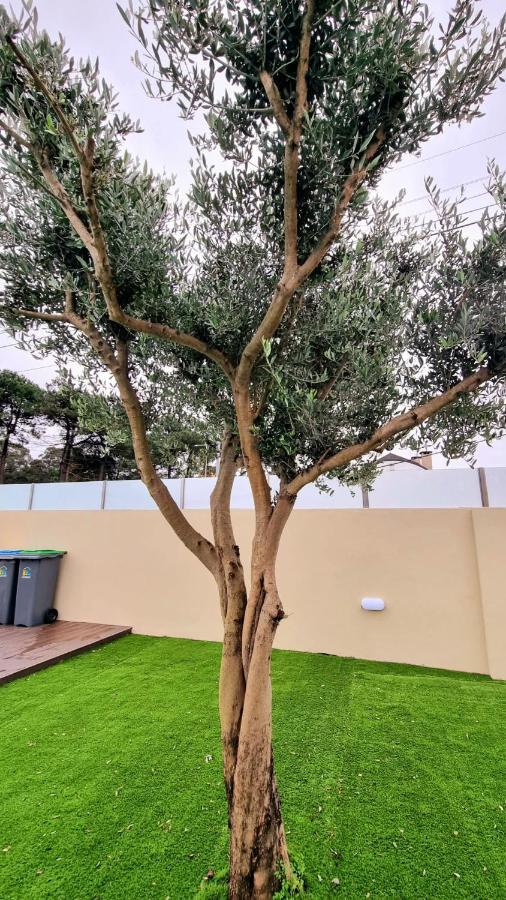 Villas Com Piscina Vila Nova de Gaia Exteriör bild
